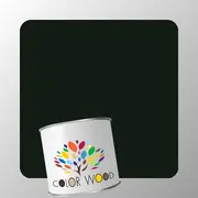 ЭМАЛЬ ПОЛИАКРИЛОВАЯ RAL 6009