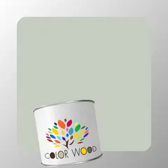 ЭМАЛЬ ВОДОРАЗБАВИМАЯ NCS 2005 G40Y