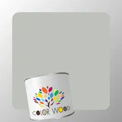 ЭМАЛЬ ВОДОРАЗБАВИМАЯ NCS 2502 G50Y