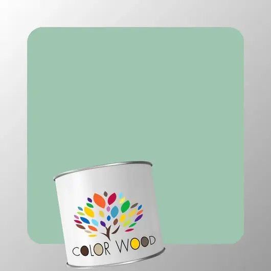 ЭМАЛЬ ПОЛИАКРИЛОВАЯ NCS 2020 G