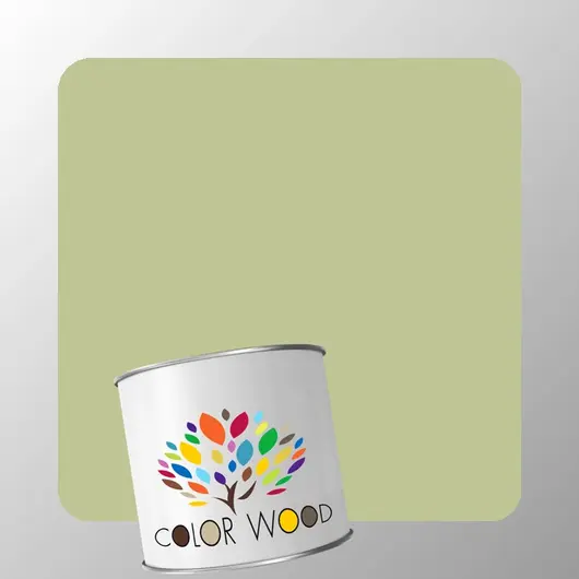 ЭМАЛЬ ПОЛИАКРИЛОВАЯ NCS 2020 G60Y