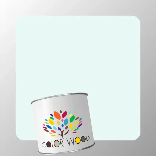 ЭМАЛЬ ВОДОРАЗБАВИМАЯ NCS 0507 B80G