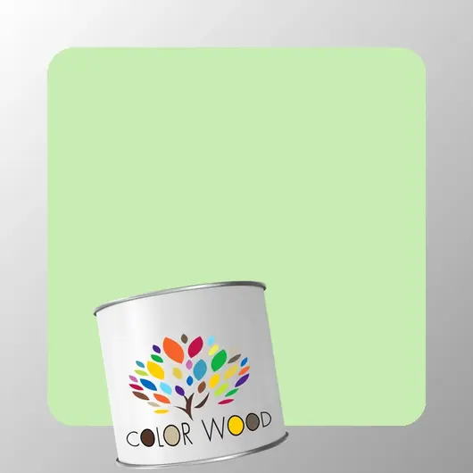 ЭМАЛЬ ВОДОРАЗБАВИМАЯ NCS 0530 G30Y