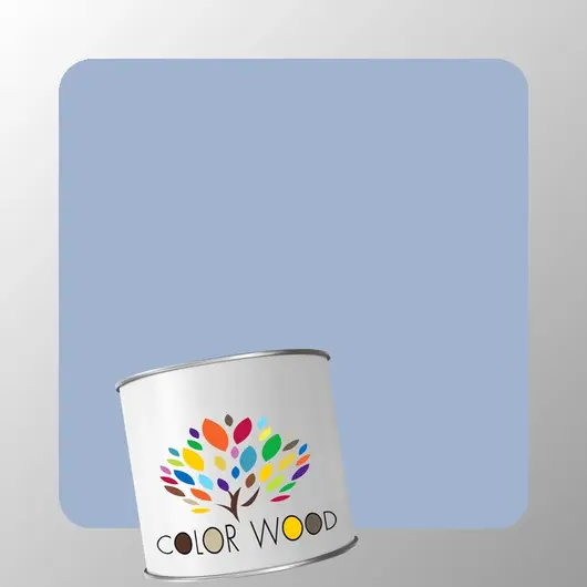 ЭМАЛЬ ВОДОРАЗБАВИМАЯ NCS 2020 R80B