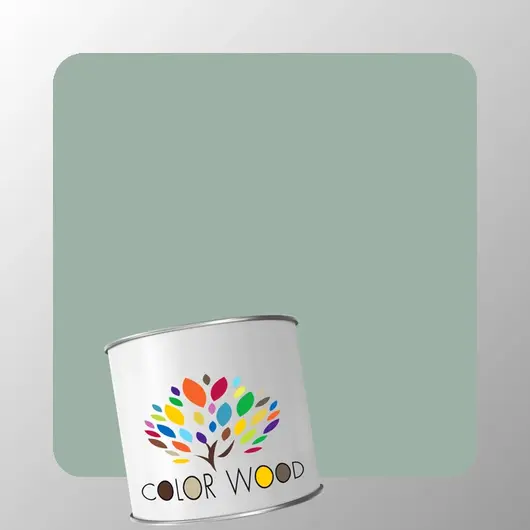 ЭМАЛЬ ВОДОРАЗБАВИМАЯ NCS 3010 G