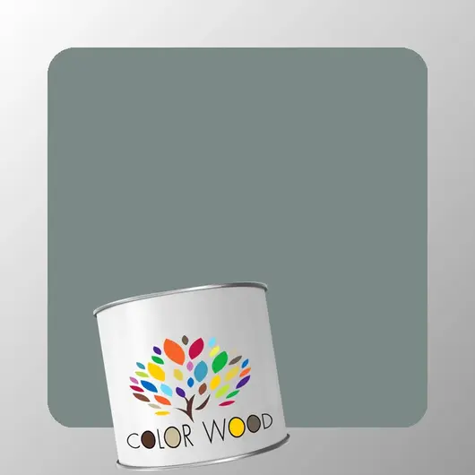 ЭМАЛЬ ВОДОРАЗБАВИМАЯ NCS 5005 B80G