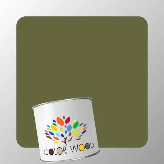 ЭМАЛЬ ВОДОРАЗБАВИМАЯ NCS 6020 G70Y